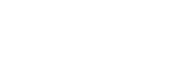 NVIDIA - Partner