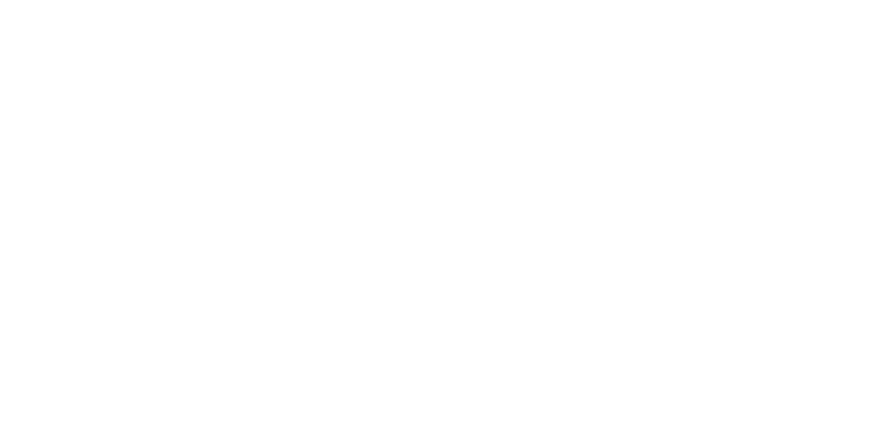 Asian Tigers - Partner